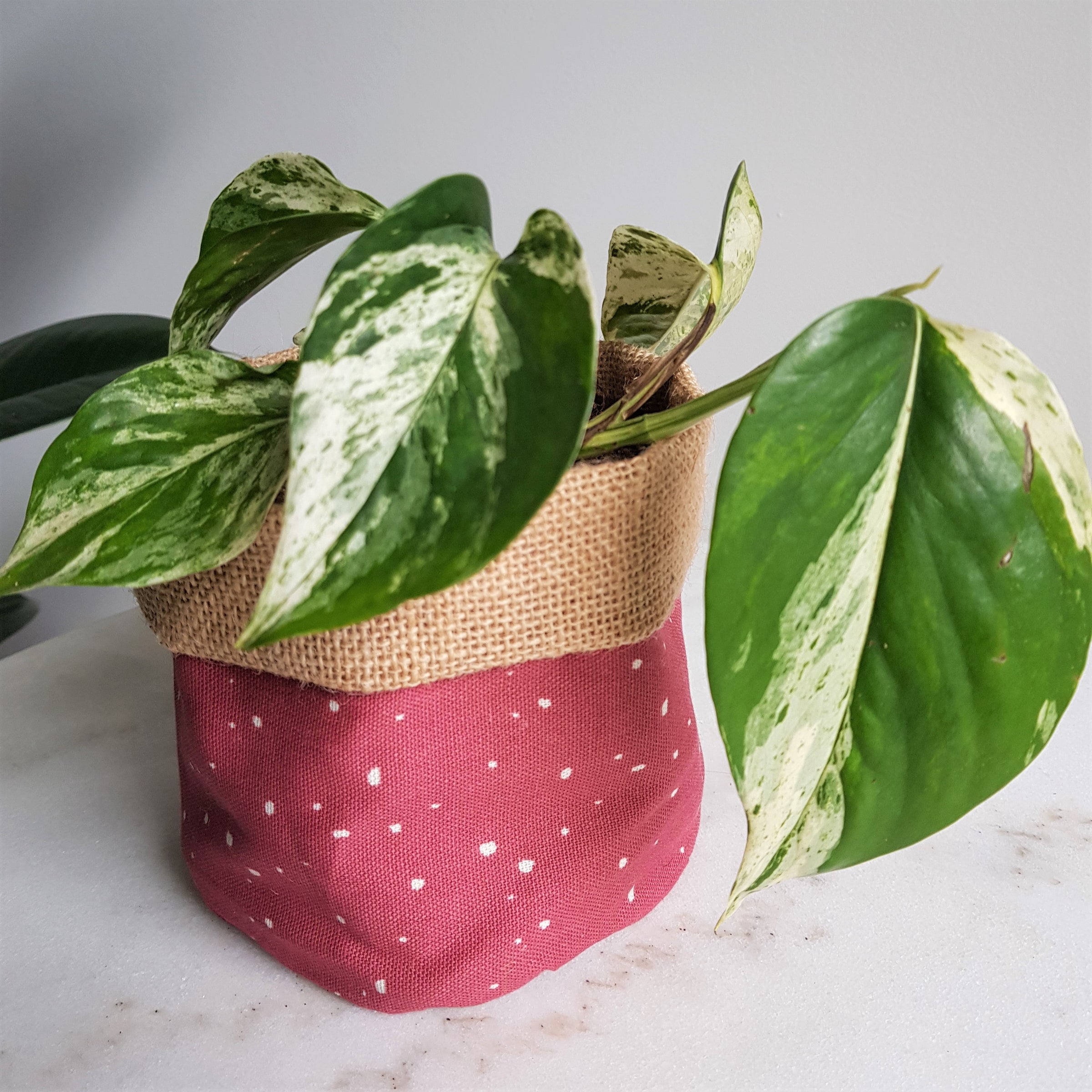 Reversible Plant Pot Cover